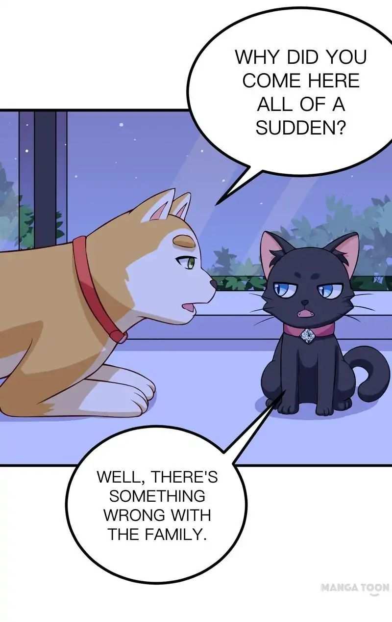 At Your Service, Kitty chapter 85 - page 35