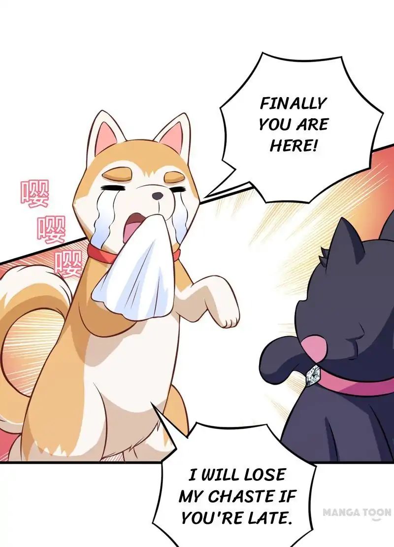 At Your Service, Kitty chapter 82 - page 18