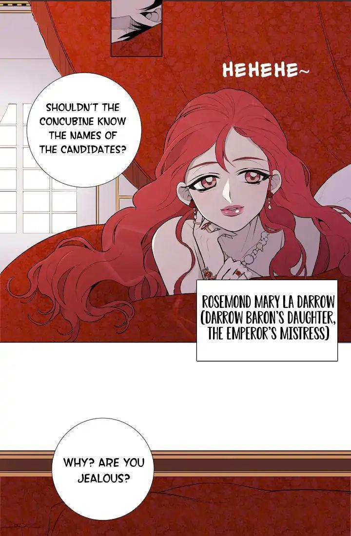 Lady to Queen Chapter 2 - page 15