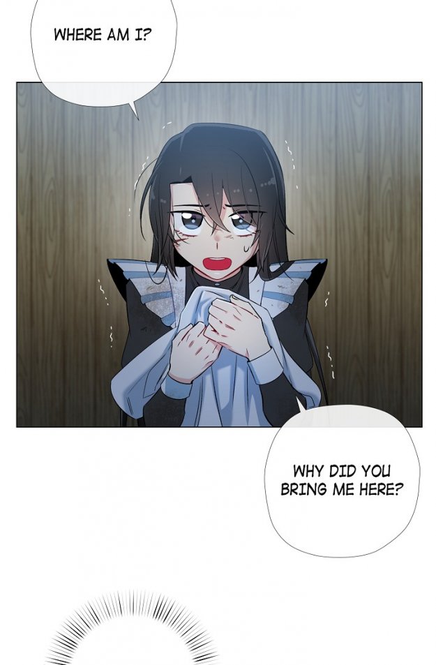 The Maid and the Vampire chapter 9 - page 9