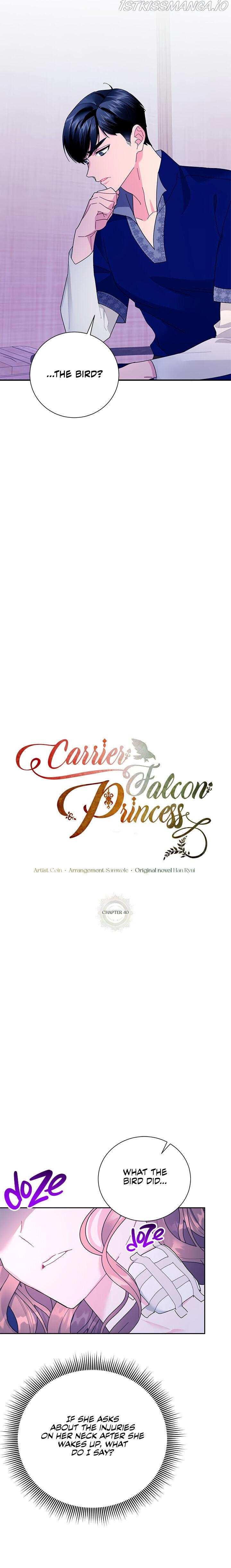 Cavier Falcon Princess chapter 40 - page 9