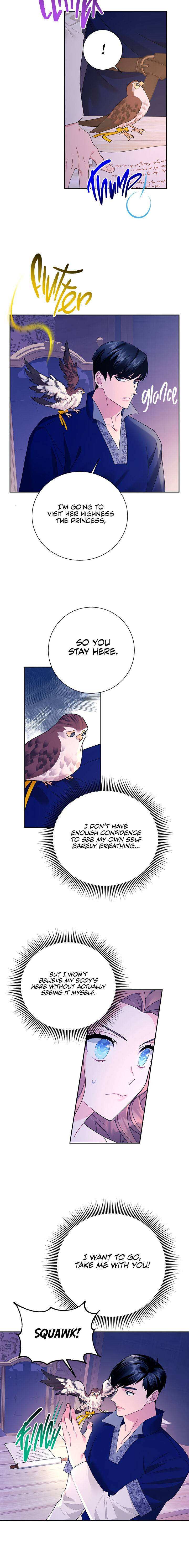 Cavier Falcon Princess chapter 36 - page 13