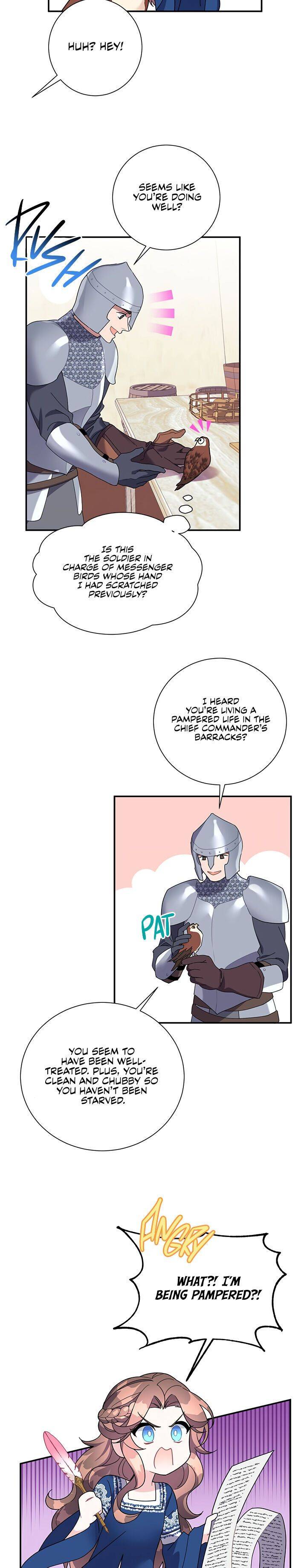 Cavier Falcon Princess chapter 20 - page 3