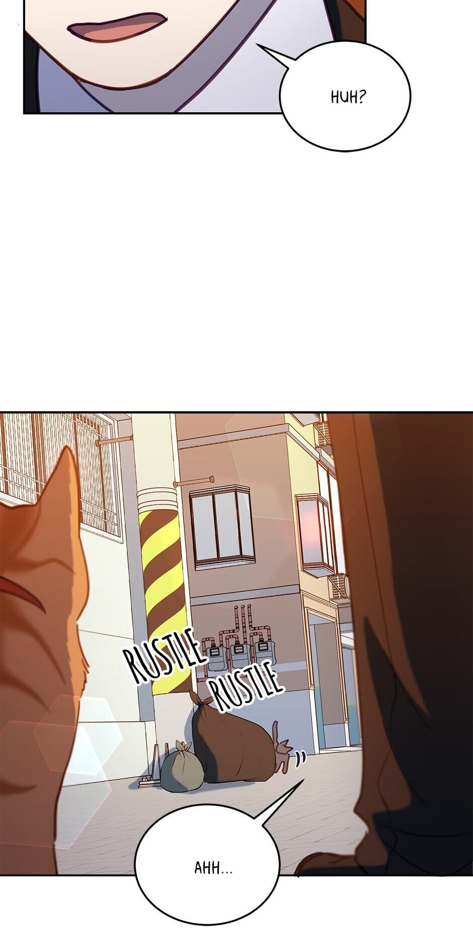 An animal hospital in the border area chapter 33 - page 36