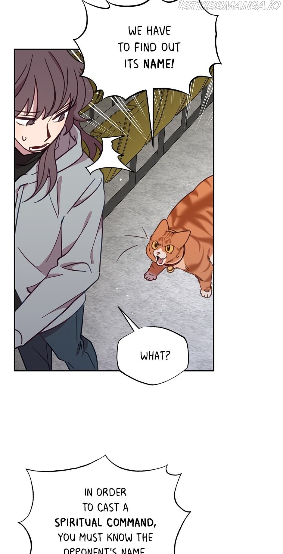An animal hospital in the border area chapter 29 - page 33