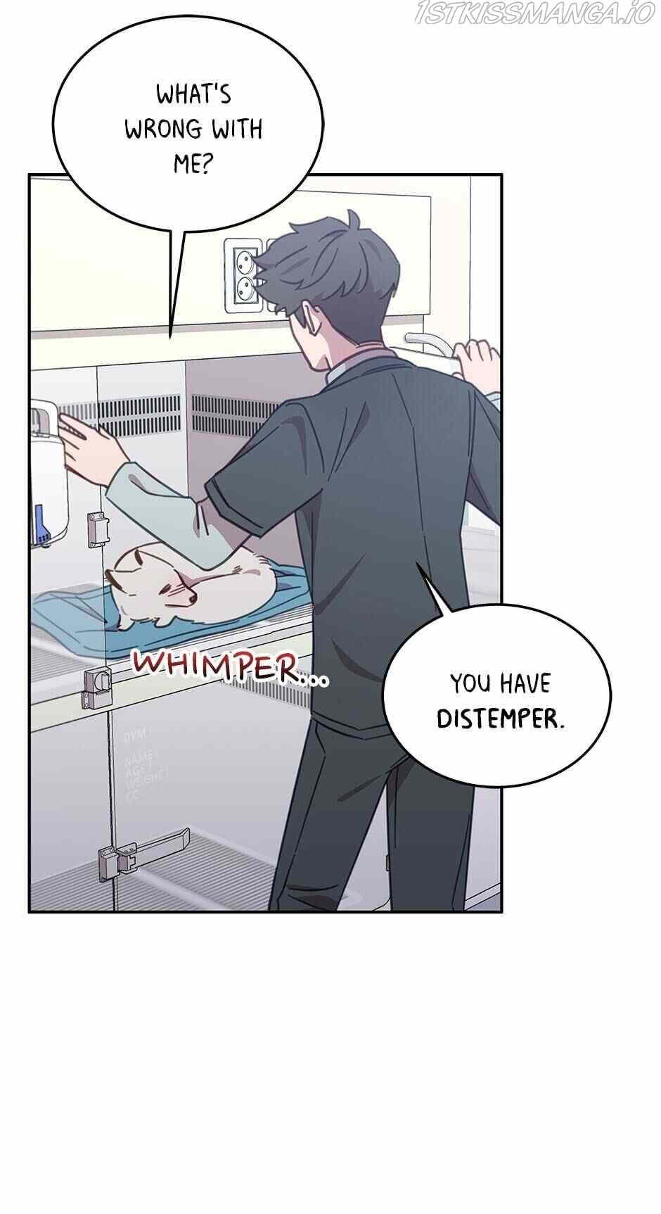 An animal hospital in the border area chapter 25 - page 27