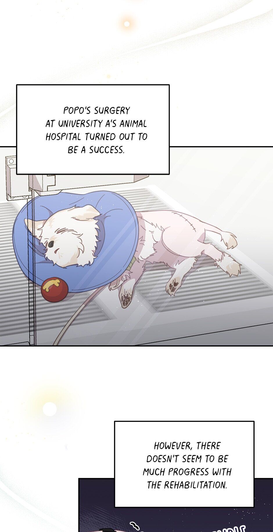 An animal hospital in the border area chapter 20 - page 18