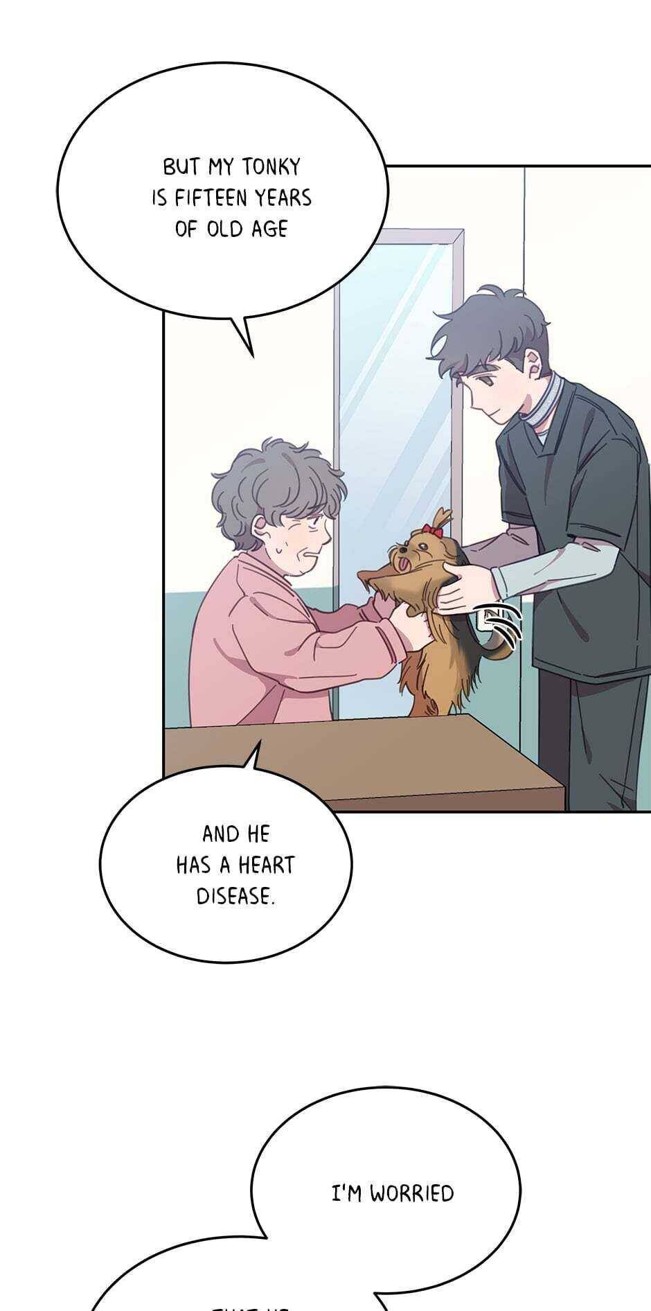 An animal hospital in the border area chapter 19 - page 42