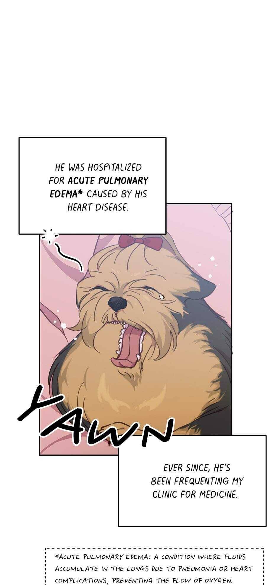 An animal hospital in the border area chapter 17 - page 11