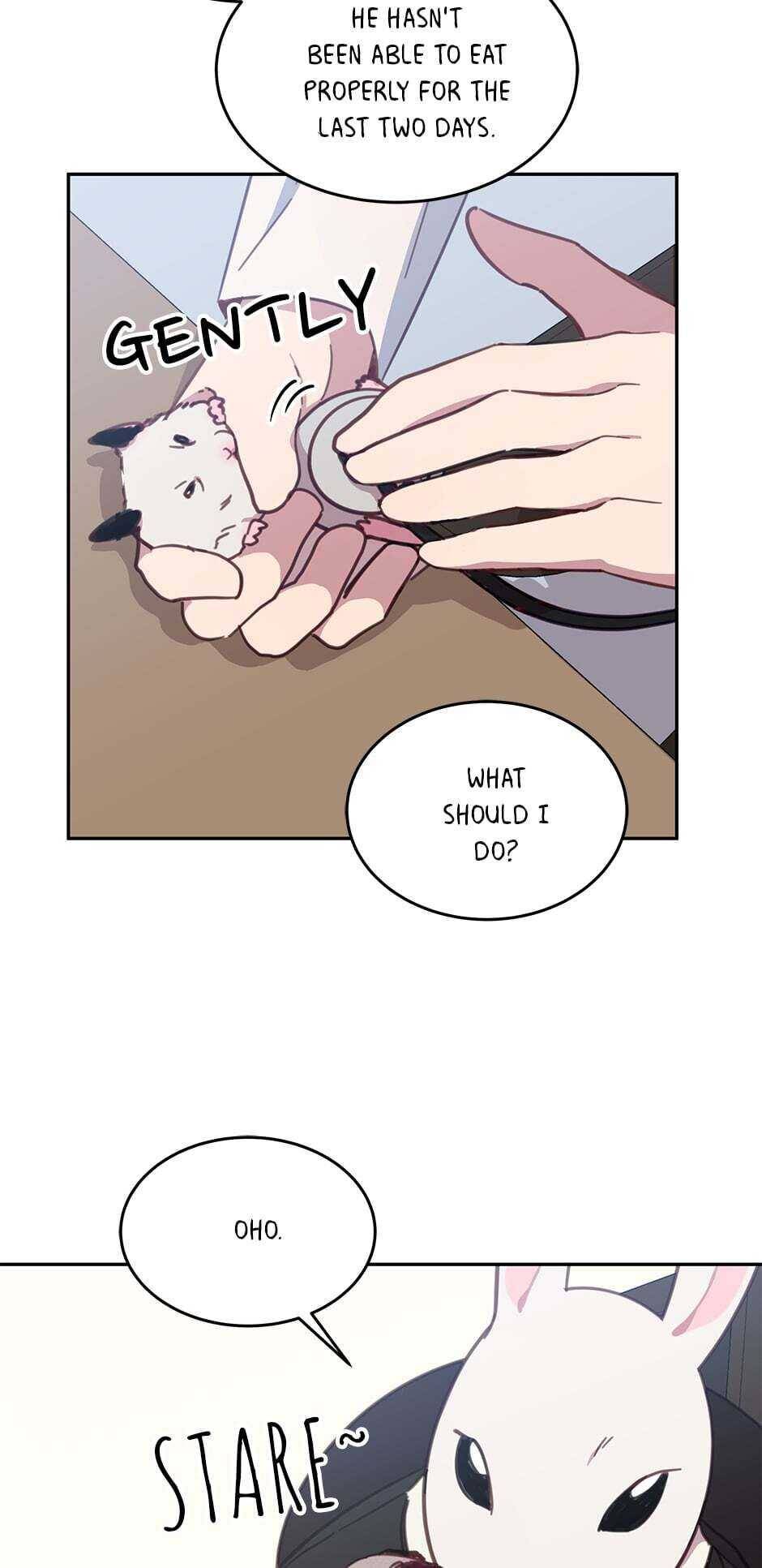 An animal hospital in the border area chapter 17 - page 34