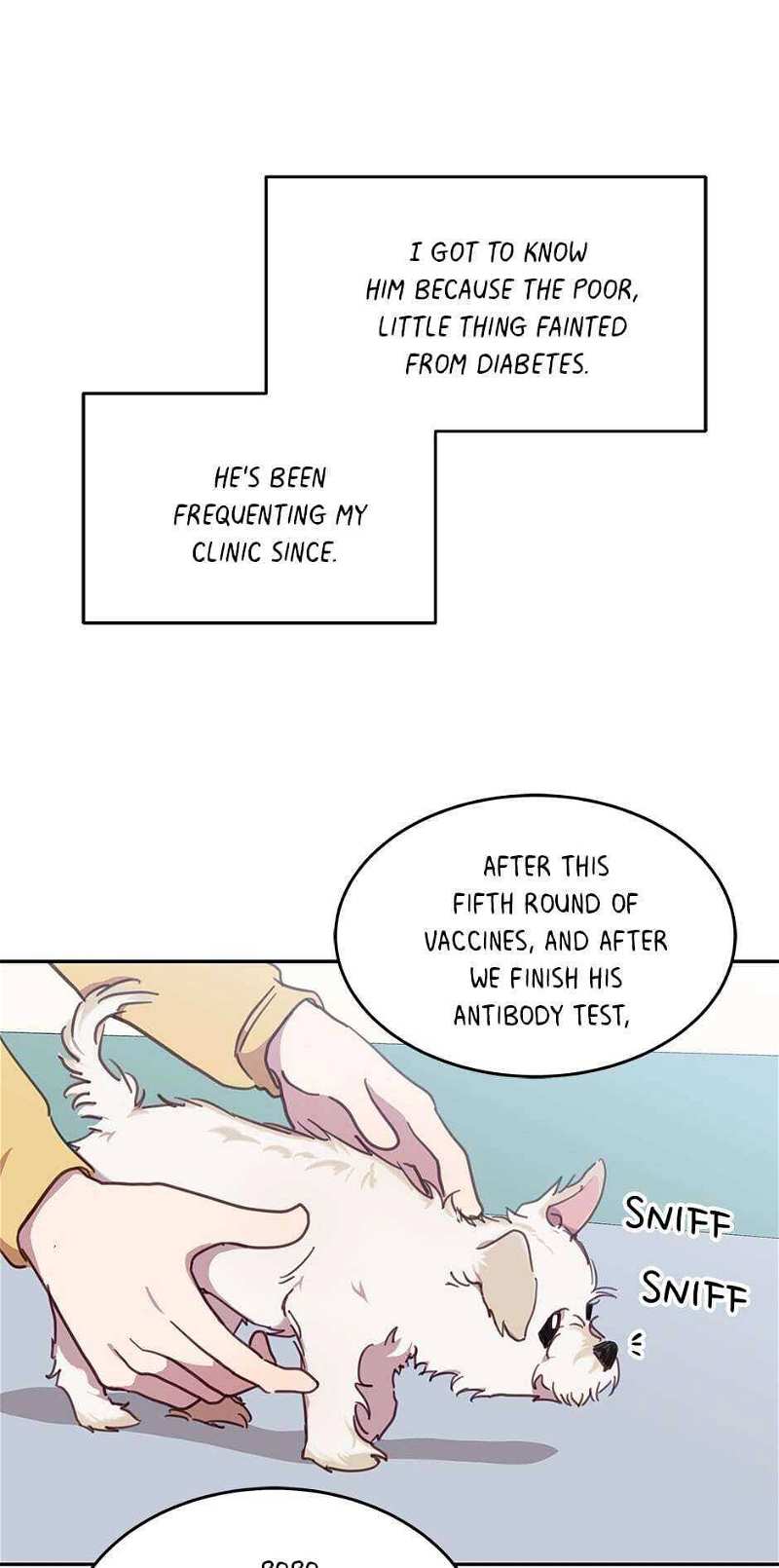 An animal hospital in the border area chapter 17 - page 7