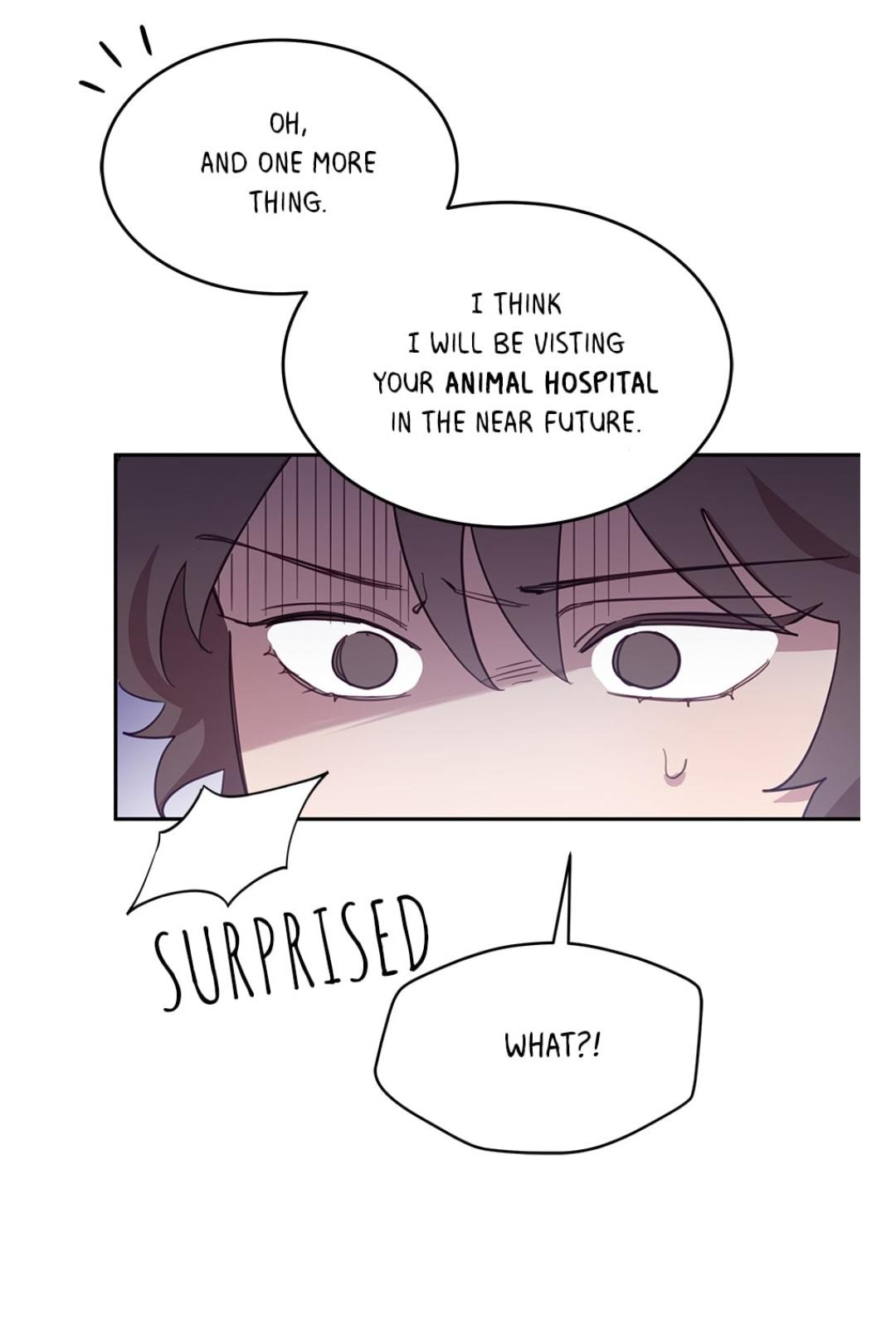 An animal hospital in the border area chapter 16 - page 42