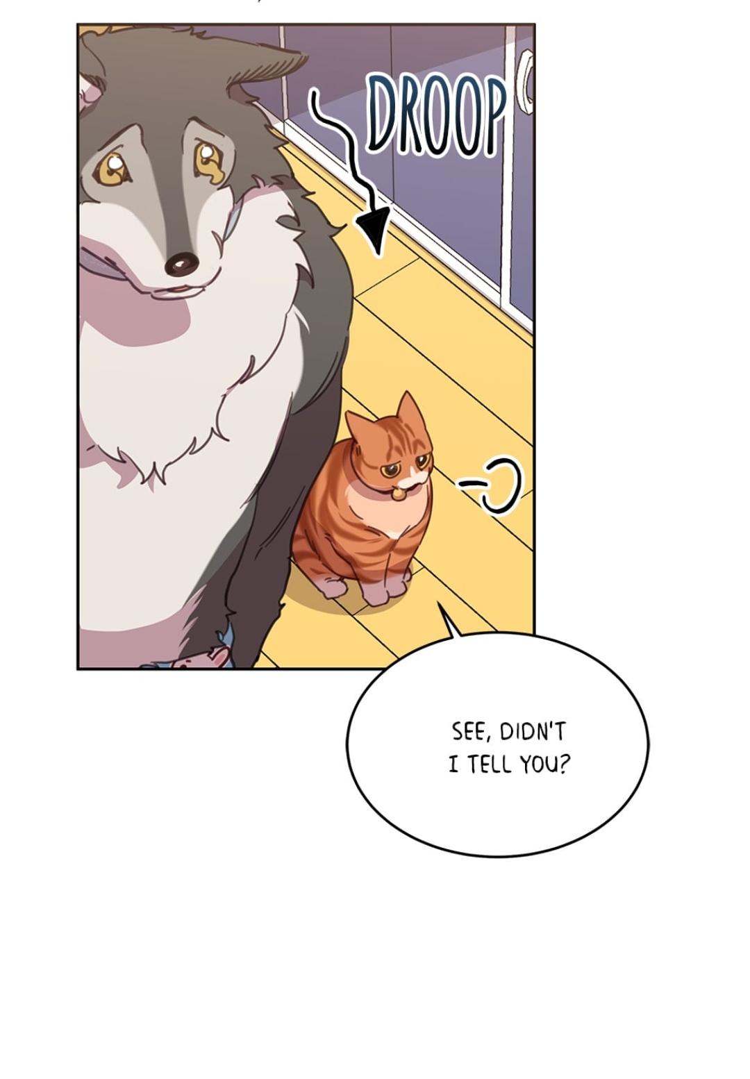 An animal hospital in the border area chapter 14 - page 40