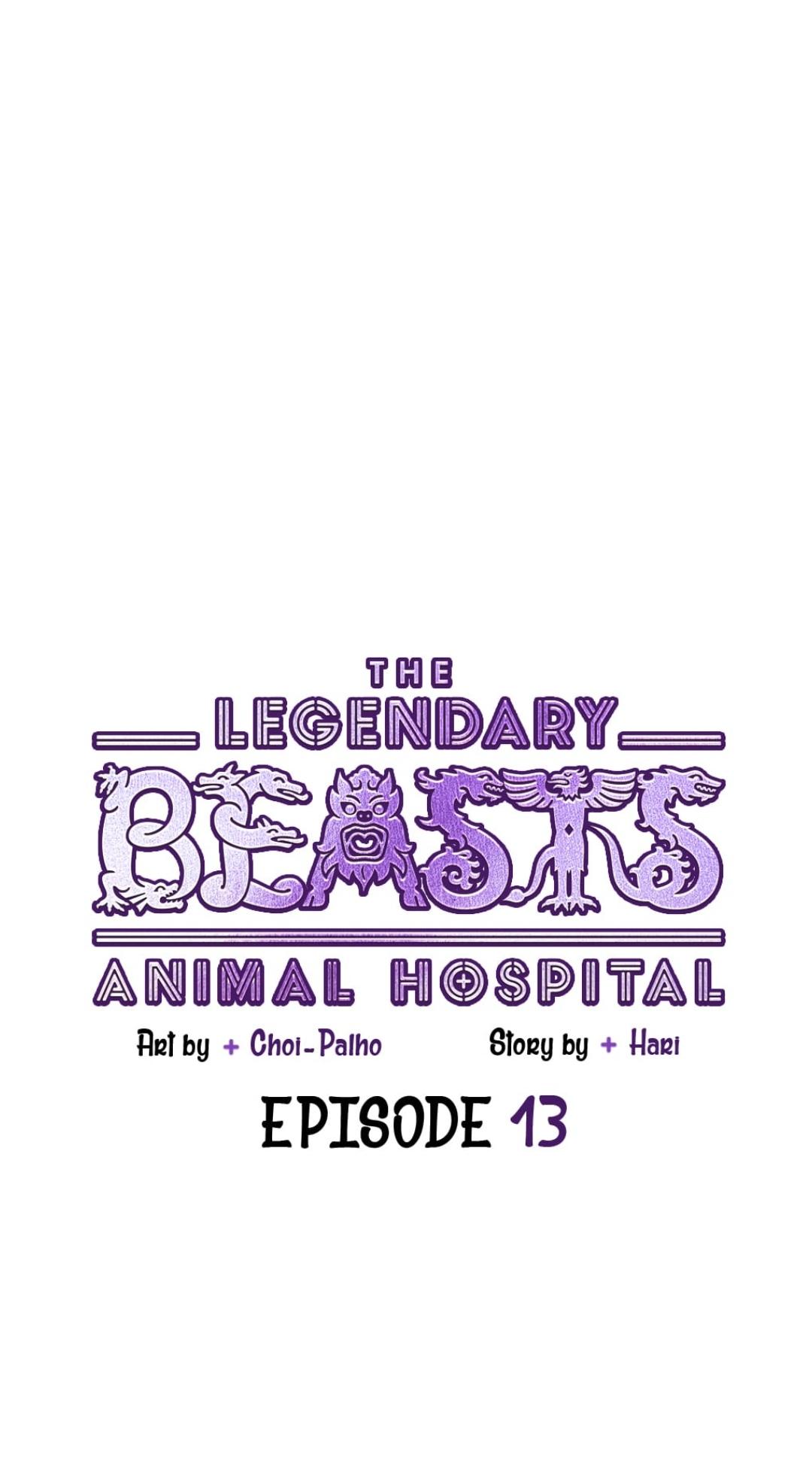 An animal hospital in the border area chapter 13 - page 6