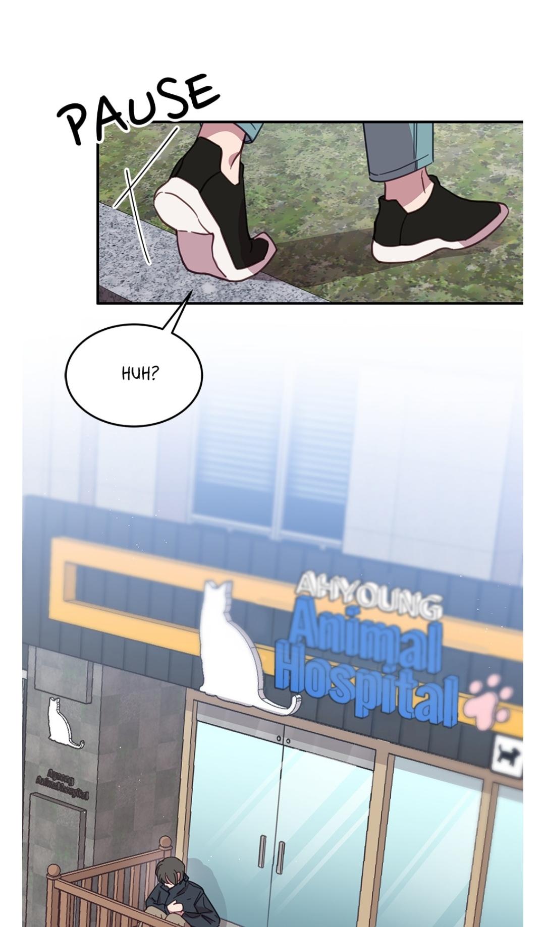 An animal hospital in the border area chapter 8 - page 51