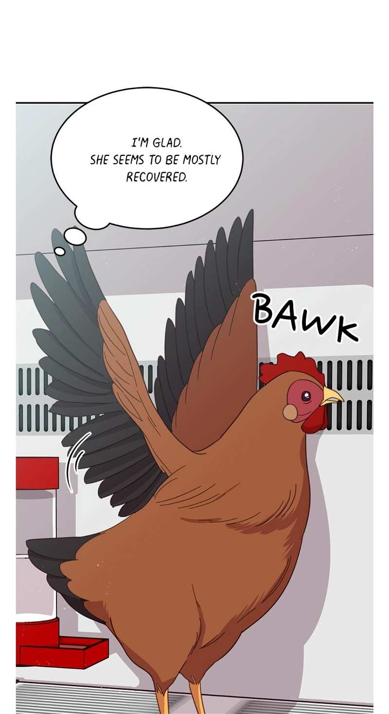 An animal hospital in the border area chapter 6 - page 43