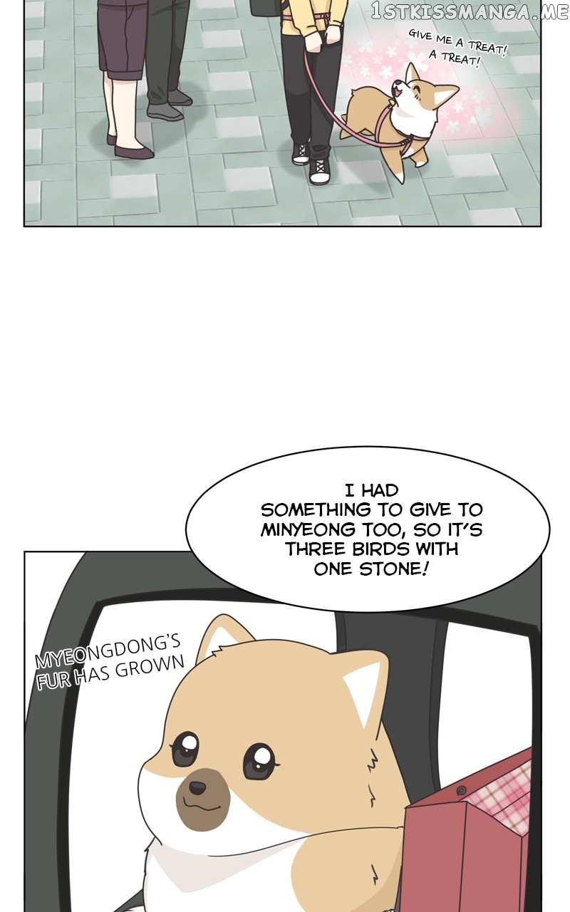 The Dog Diaries Chapter 112 - page 66