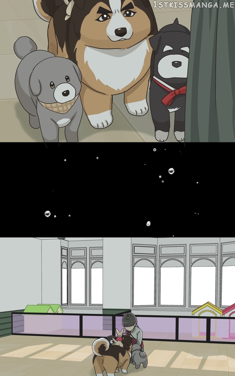 The Dog Diaries Chapter 110 - page 6