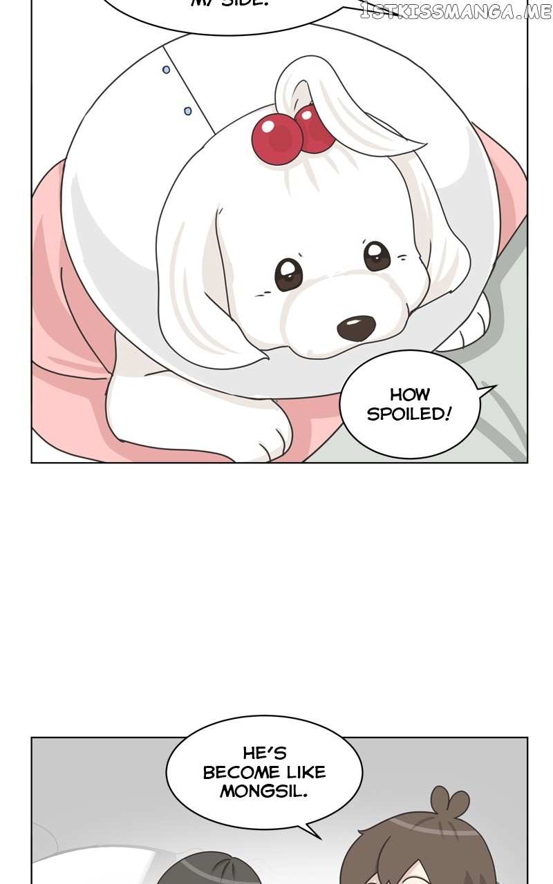 The Dog Diaries Chapter 108 - page 36