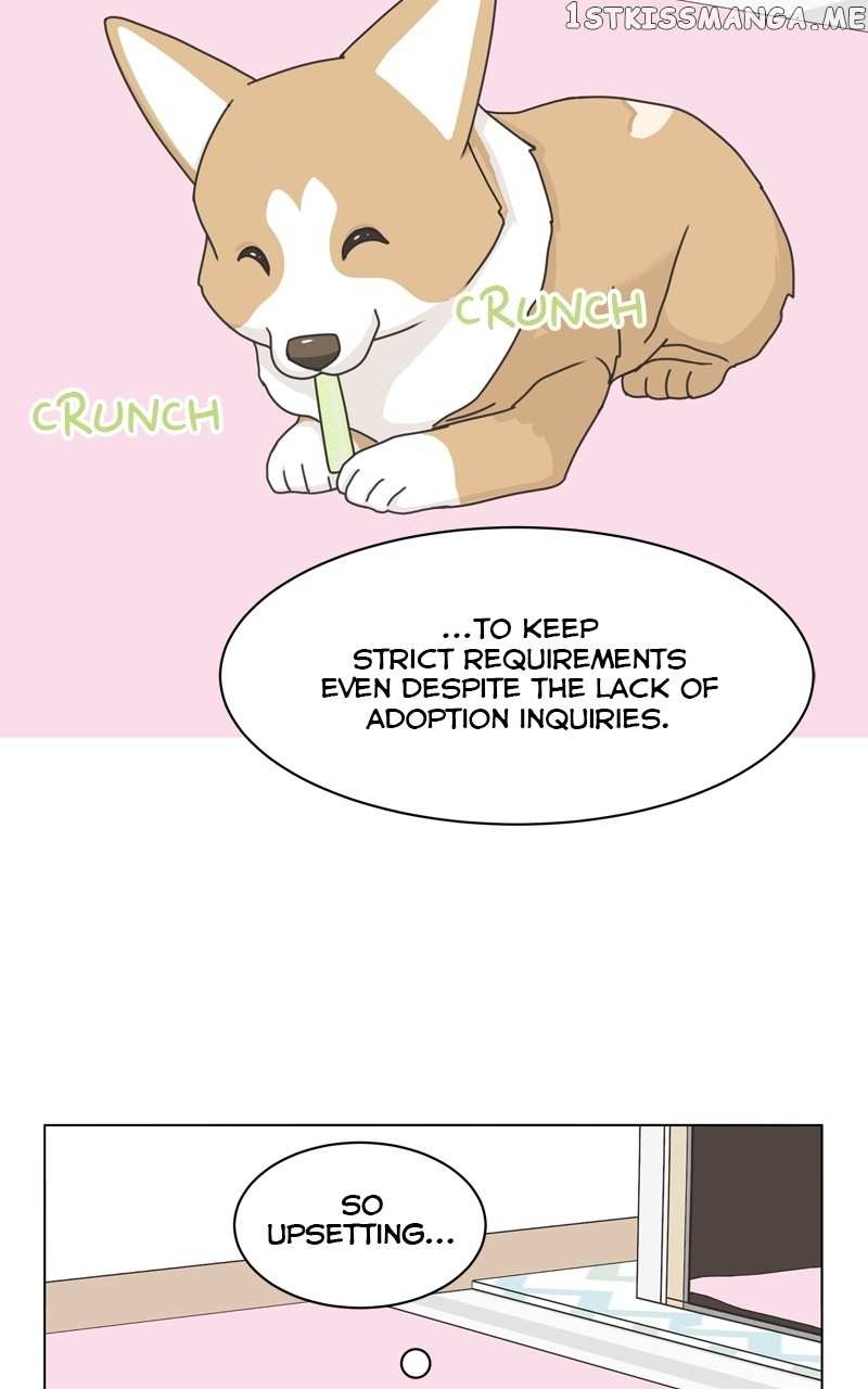 The Dog Diaries Chapter 106 - page 38