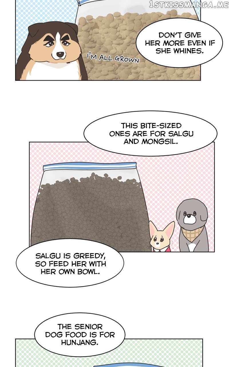 The Dog Diaries Chapter 106 - page 52