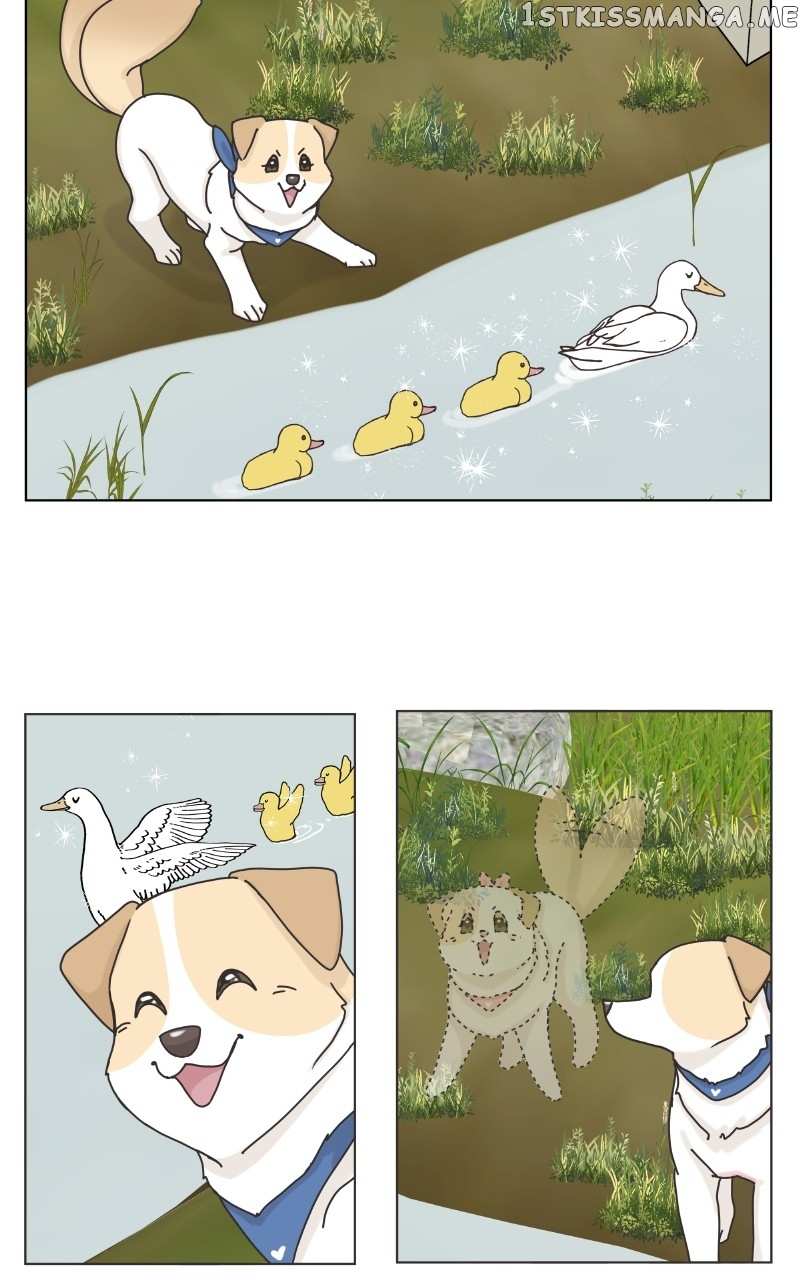 The Dog Diaries Chapter 104 - page 26