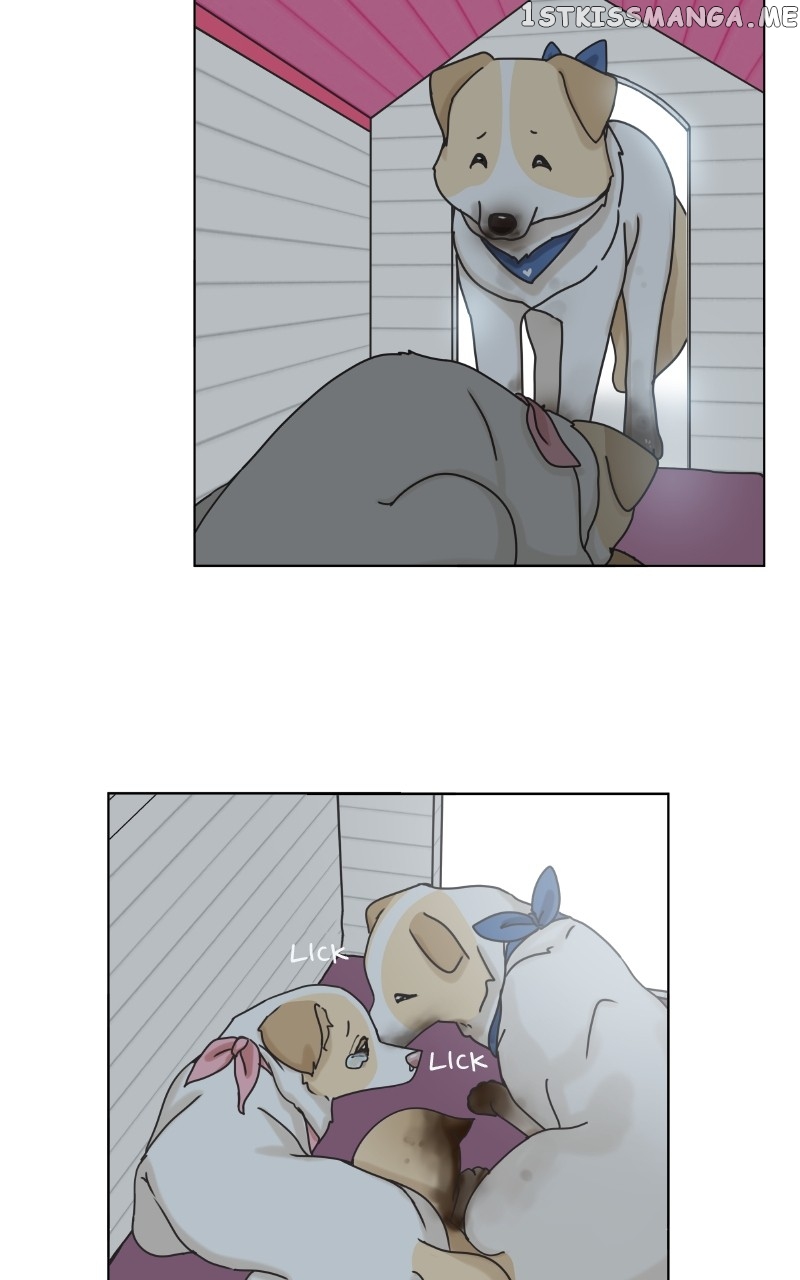 The Dog Diaries Chapter 104 - page 38