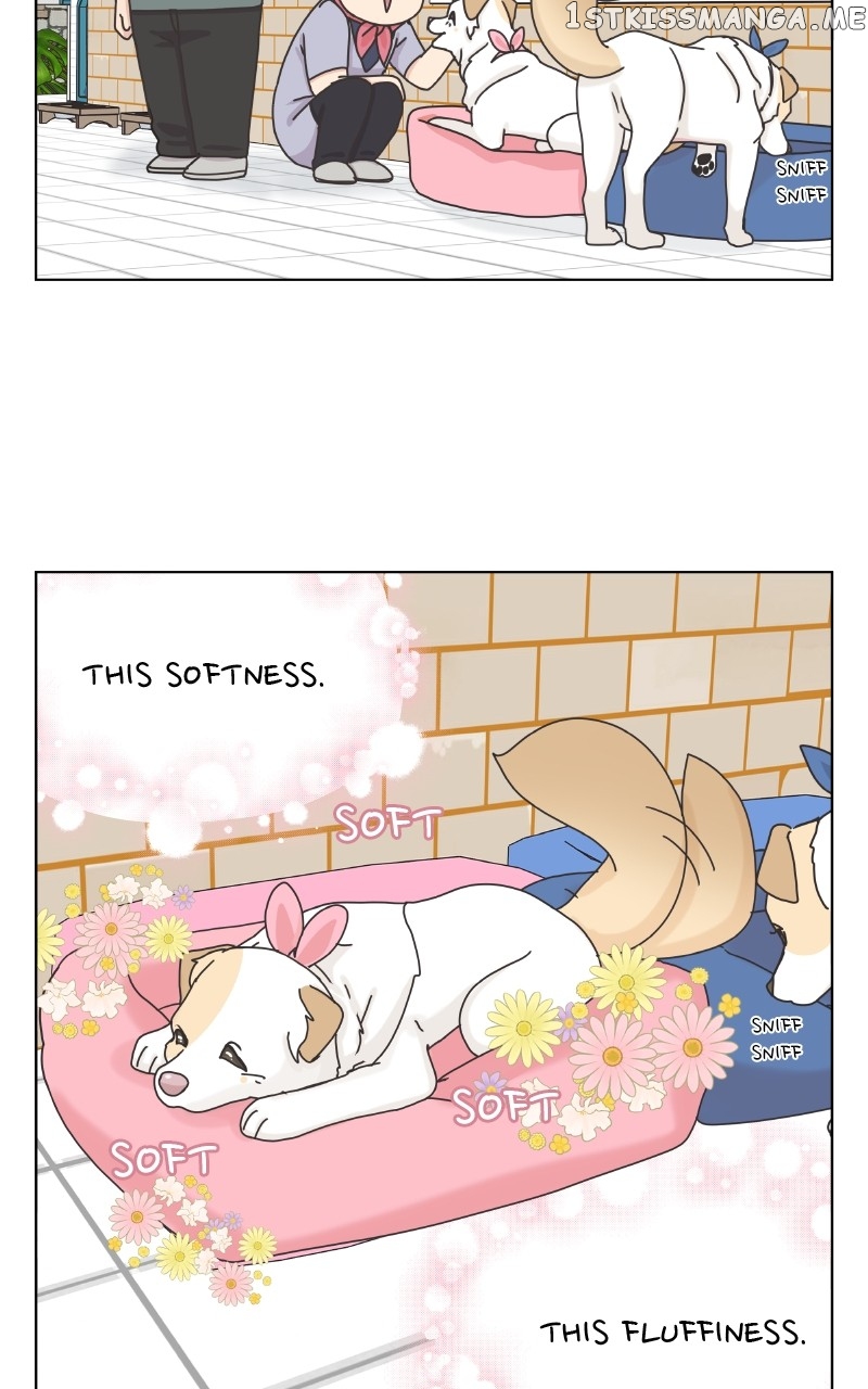 The Dog Diaries Chapter 104 - page 9