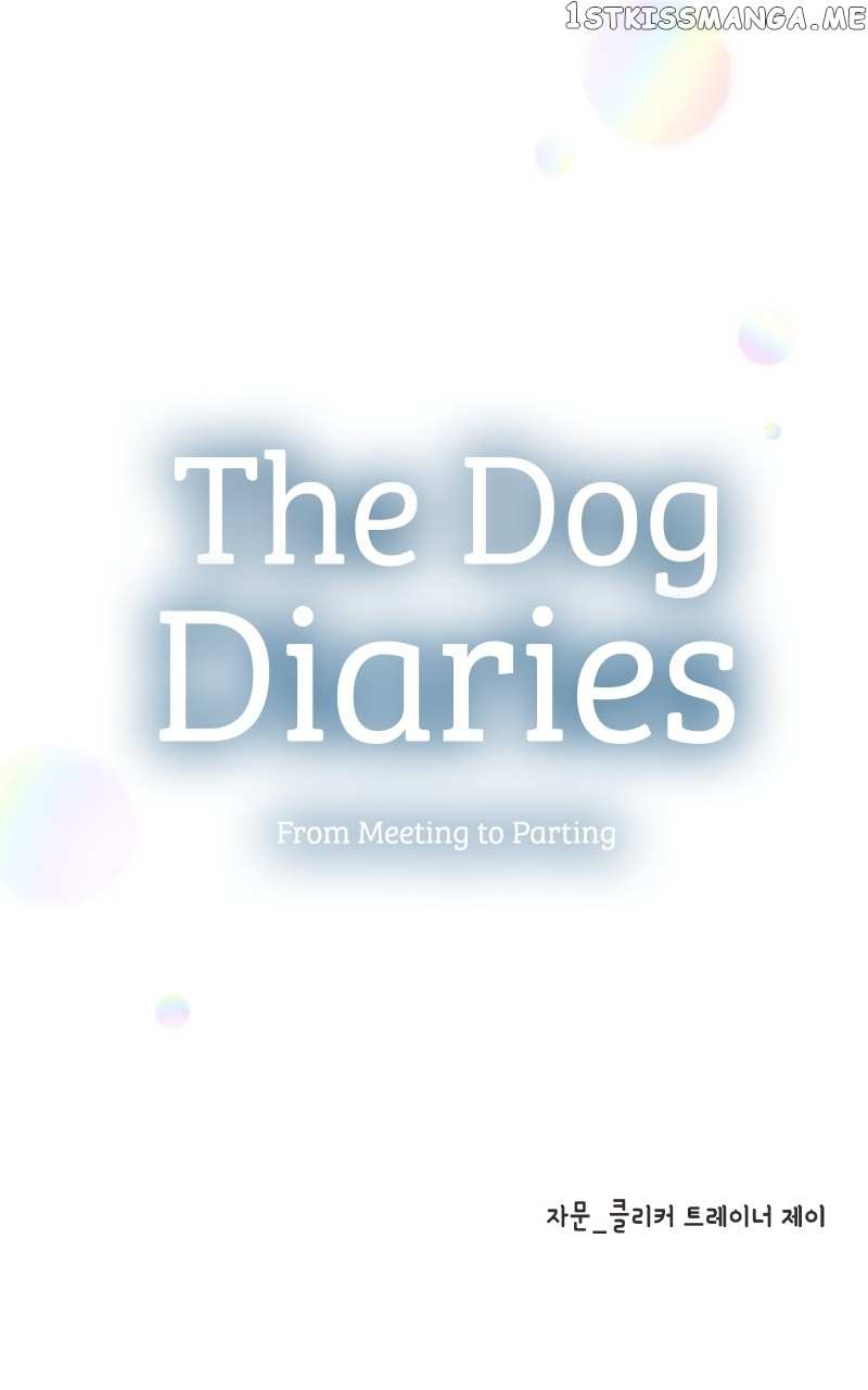 The Dog Diaries Chapter 103 - page 97
