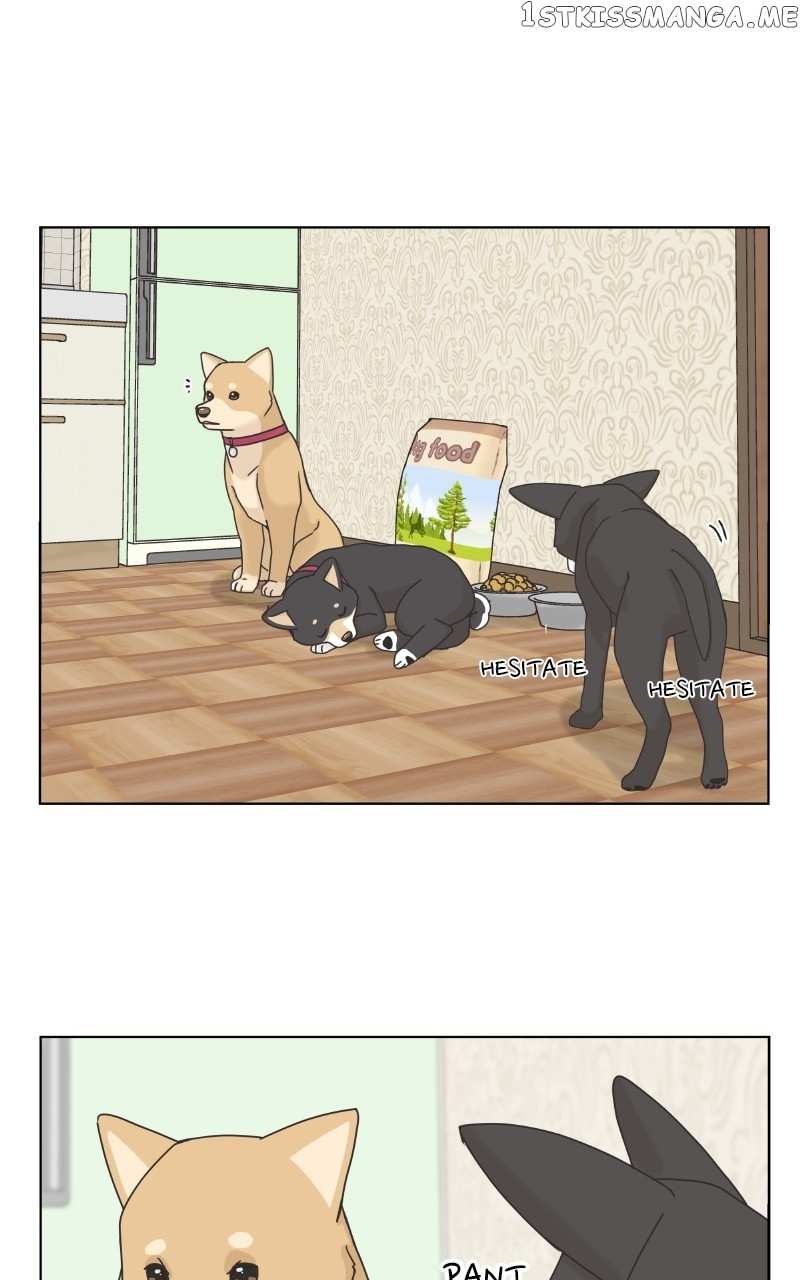 The Dog Diaries Chapter 101 - page 28