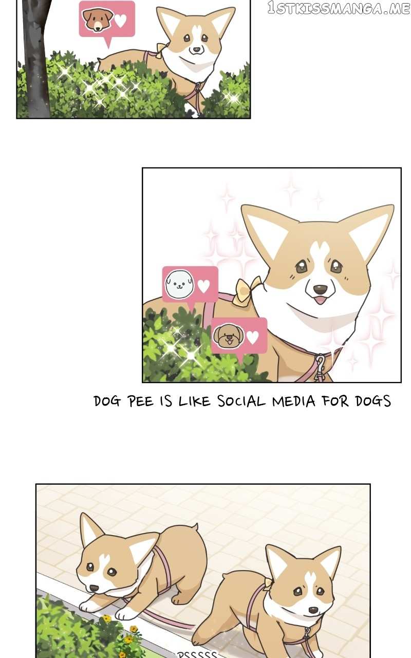 The Dog Diaries Chapter 100 - page 76