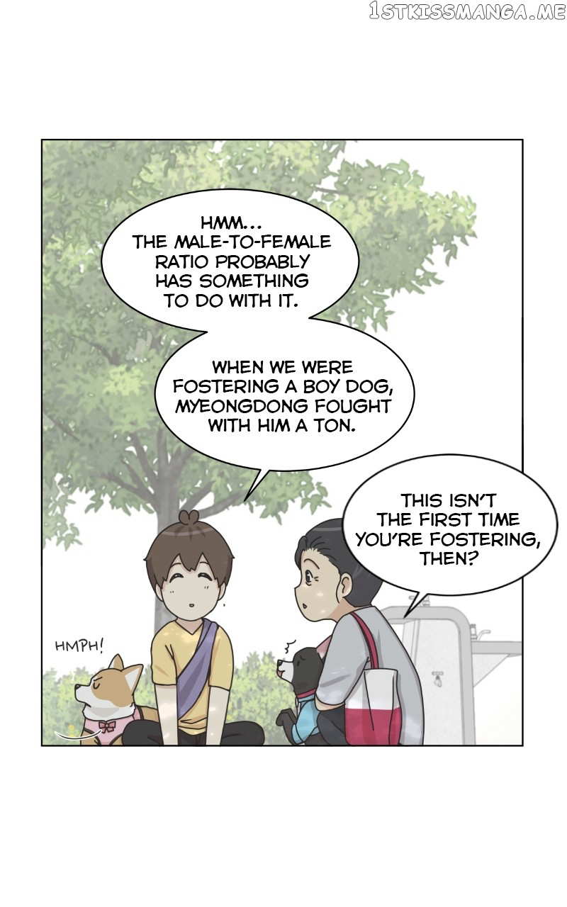 The Dog Diaries Chapter 99 - page 56