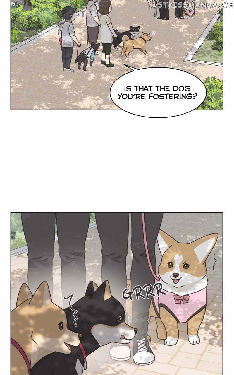 The Dog Diaries Chapter 99 - page 7