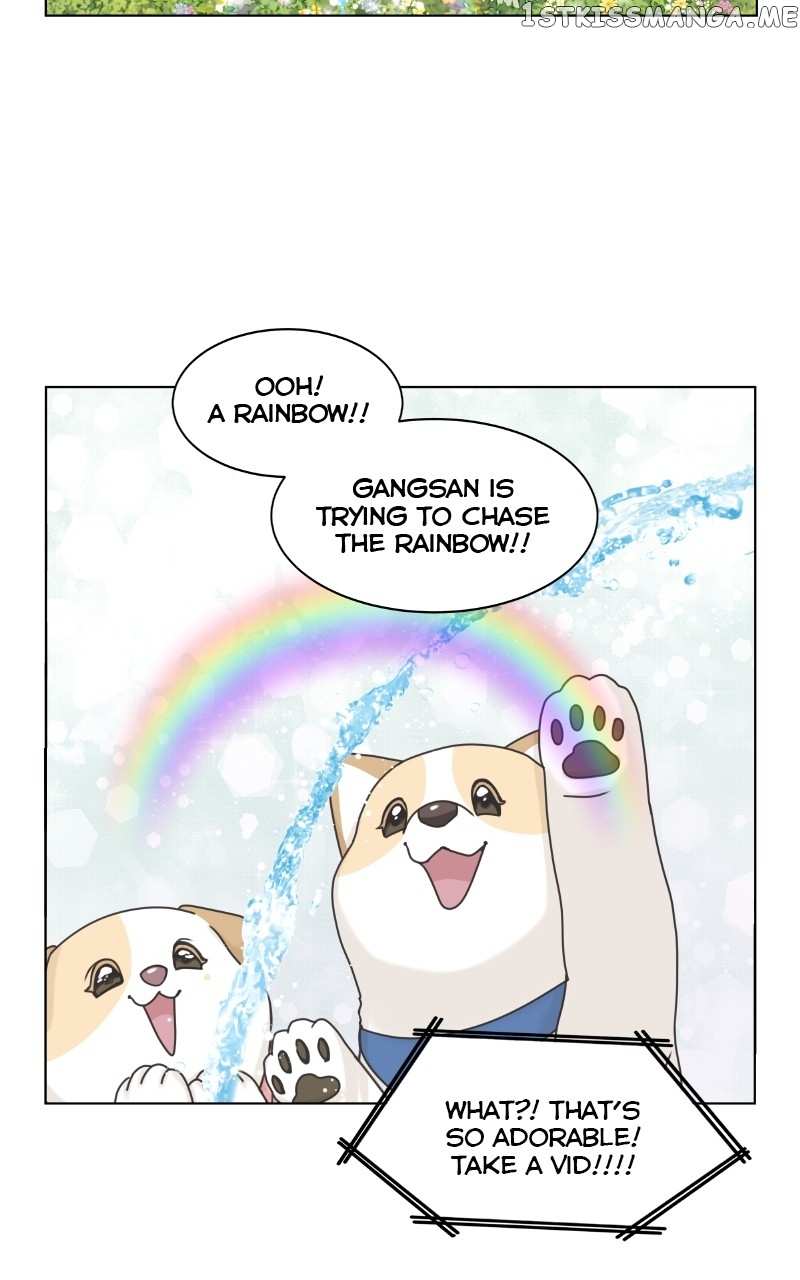 The Dog Diaries Chapter 98 - page 46