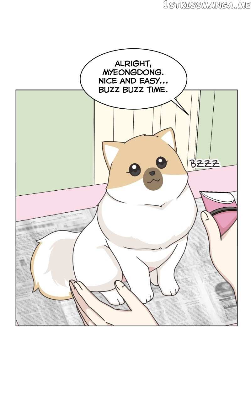 The Dog Diaries Chapter 97 - page 1