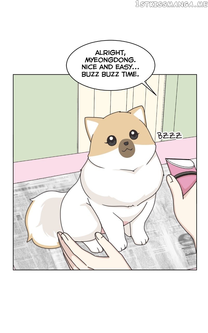 The Dog Diaries Chapter 97 - page 1