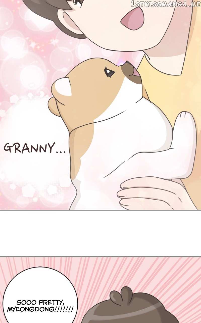 The Dog Diaries Chapter 97 - page 47