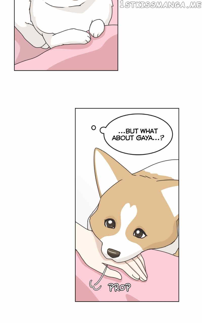 The Dog Diaries Chapter 96 - page 32