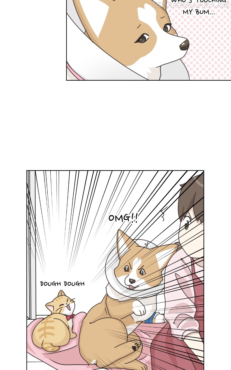 The Dog Diaries Chapter 95 - page 35