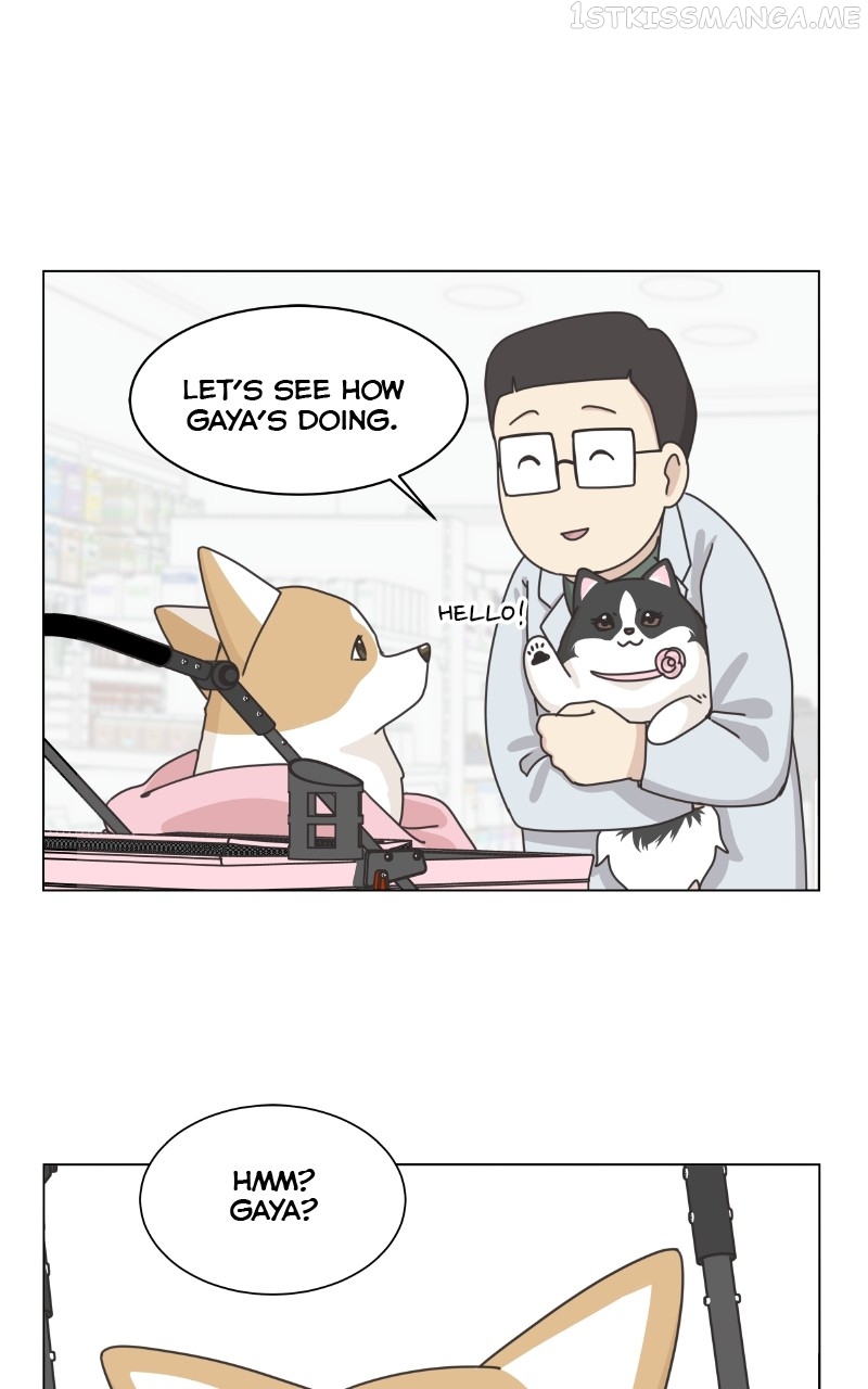 The Dog Diaries Chapter 94 - page 29