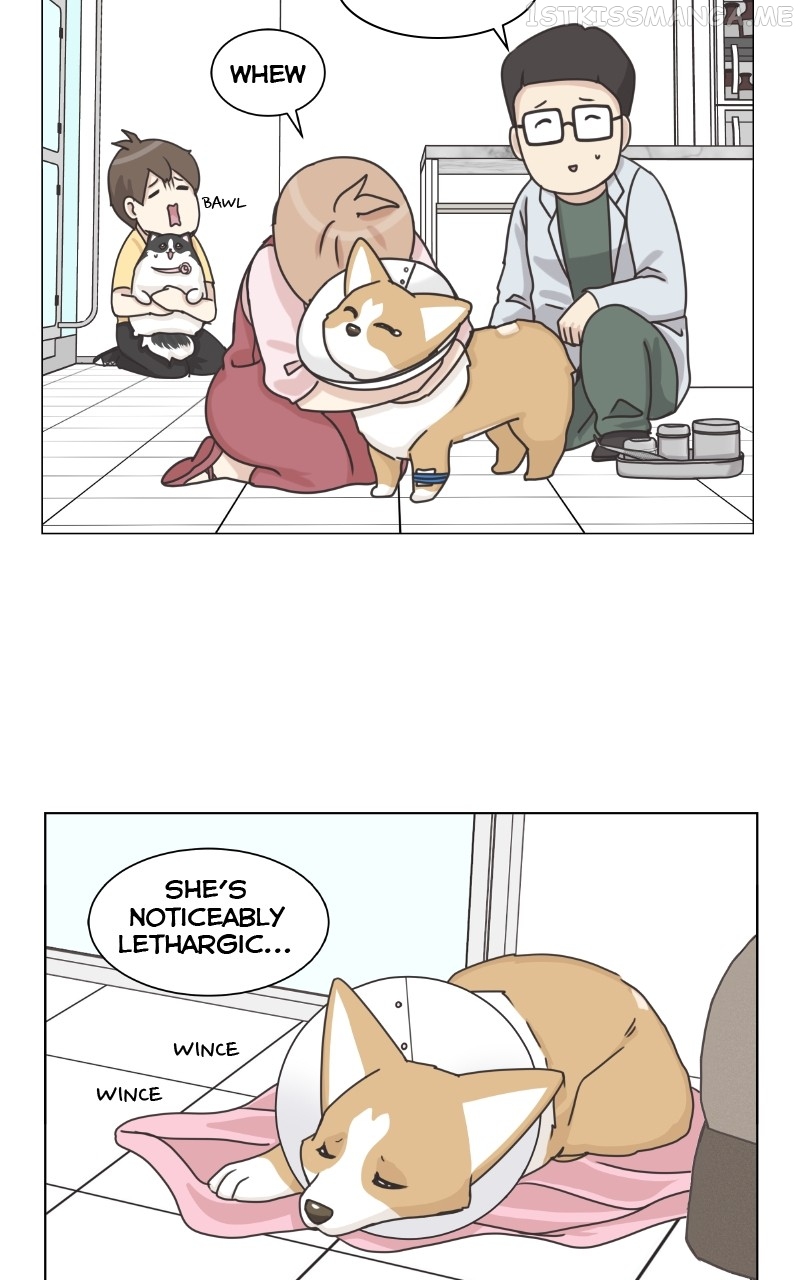 The Dog Diaries Chapter 94 - page 42