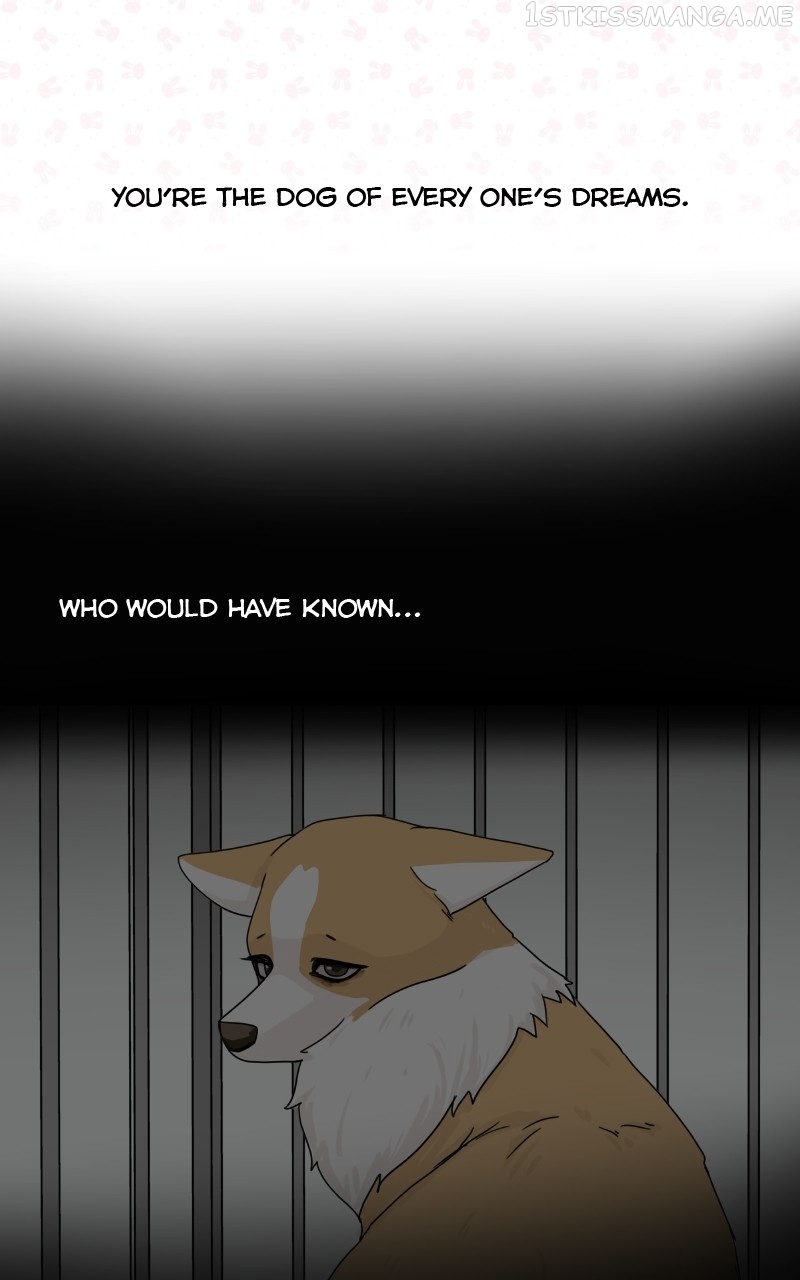 The Dog Diaries Chapter 94 - page 5