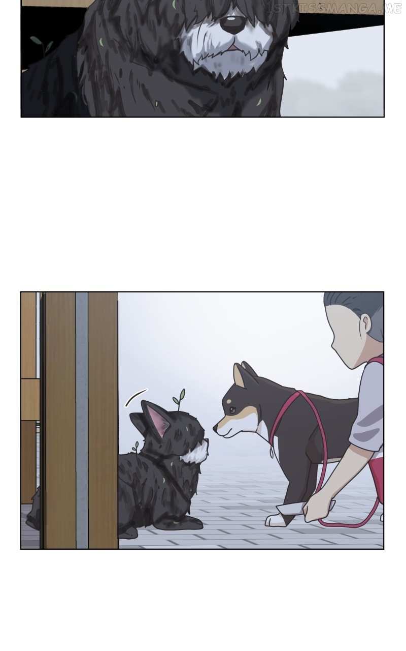 The Dog Diaries Chapter 92 - page 13