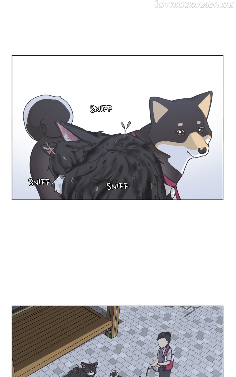 The Dog Diaries Chapter 92 - page 14