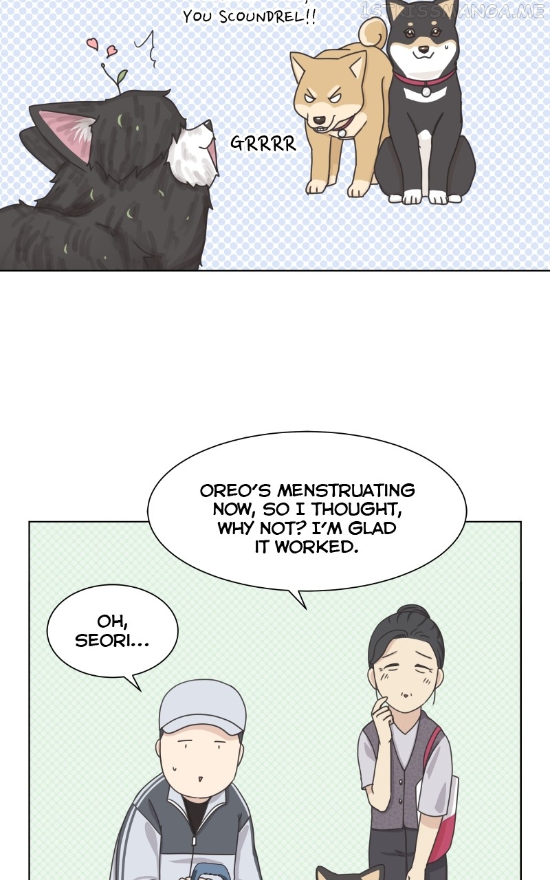 The Dog Diaries Chapter 92 - page 42