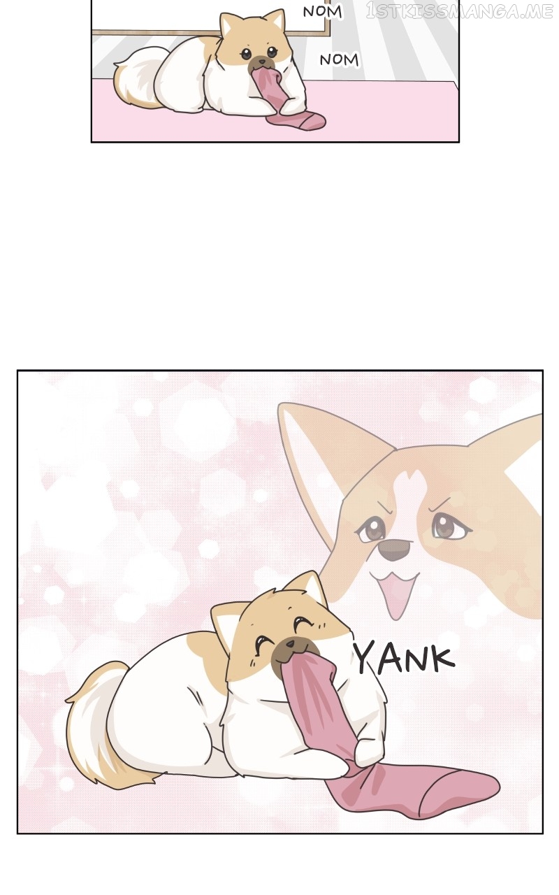 The Dog Diaries Chapter 92 - page 51