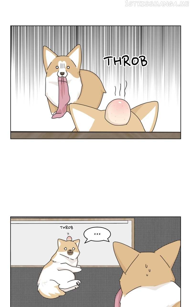 The Dog Diaries Chapter 92 - page 56
