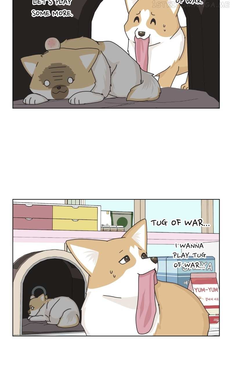 The Dog Diaries Chapter 92 - page 58