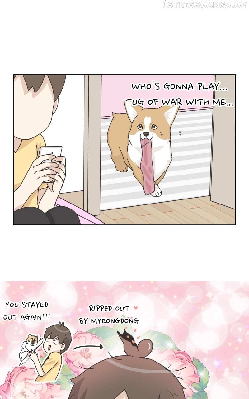 The Dog Diaries Chapter 92 - page 59