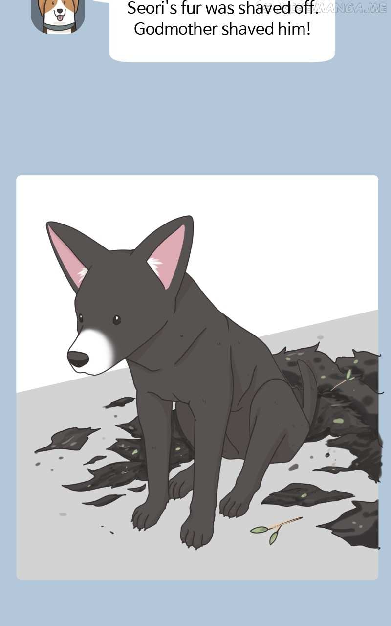 The Dog Diaries Chapter 92 - page 61